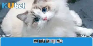 Mơ Ăn Thịt Mèo